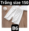 pvn62495-quan