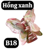 pvn63963-kep-toc-buom-3d