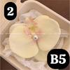 pvn63721-kep-toc-hoa-lan