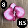 pvn63721-kep-toc-hoa-lan