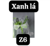 pvn62259-set-2-kep-toc-no-tua-rua-2-cai