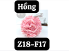 pvn46881-bong-tam