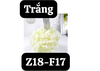 pvn46881-bong-tam