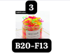 pvn59894-hop-500-buoc-toc