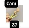 pvn60474-kep-toc-hoa-tulip