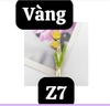 pvn60474-kep-toc-hoa-tulip