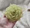 pvn69071-kep-toc-hinh-hoa-tra