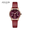 Julius Star JS-023