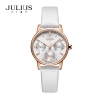 Julius Star JS-023