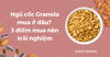 Ngũ cốc Granola mua ở đâu? 3 điểm mua nên trải nghiệm