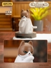 QueSera Series-iRobocat Series Blind Box