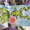 Pop Up - Nature Usborne