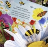 Pop Up - Nature Usborne