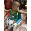 Ghế bô Việt Nhật  Ghế ngồi bô Việt Nhật cho bé  Ghế bô vệ sinh cho bé 3091