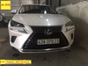 RÈM CHE NẮNG LEXUS NX300