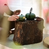 BÀN BẾP BB0009