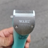 tong-do-wahl-2223-xanh-ngoc