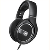 Tai nghe Sennheiser HD 559