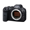 Canon EOS R6 Body - Like New 99%