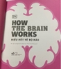 Sách - How the Brain Works - Hiểu biết về bộ não