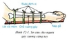 Bộ Nẹp gỗ ( 4 cái )