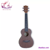 dan-ukulele-go-fender-size-23