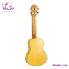 dan-ukulele-fender-go-size-23