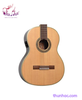 guitar-classic-tagima-ottawa-eq