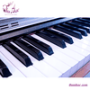 piano-dien-casio-cdp35