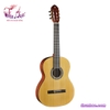 guitar-classic-eko-vibra-v100