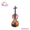 violin-scottcao-size-4-4