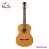 dan-guitar-classic-cordoba-c3m