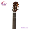 dan-guitar-acoustic-yamaha-csf3m