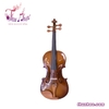 dan-violin-go-basswood-size-1-4