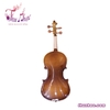 dan-violin-go-basswood-size-1-4