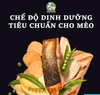 Thức ăn Kitchen Flavor cho mèo con và mèo mẹ cho con bú vị CÁ BIỂN VÀ RAU CỦ QUẢ