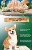 Thức ăn Kitchen Flavor cho chó con Small Breed Puppy - Vị Tôm Nam Cực và rau củ quả
