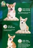 Thức ăn Kitchen Flavor cho chó con Small Breed Puppy - Vị Tôm Nam Cực và rau củ quả