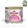💞Pate ROYAL CANIN Mother and Babycat😻