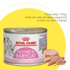 💞Pate ROYAL CANIN Mother and Babycat😻