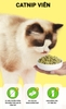 Lon Catnip viên cho mèo 40g