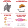 Thức ăn cho Mèo Con Anh Lông Ngắn Royal Canin British Shorthair Kitten