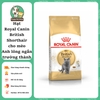 Thức ăn cho Mèo Anh Lông Ngắn trên 12 tháng tuổi Royal Canin British Shorthair Adult