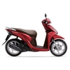 Vision 110cc