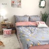 Bộ chăn ga gối poly cotton REE Bedding PLC10