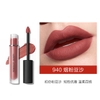 Son Kem Perfect Diary Dreamworld Matte Lip Color