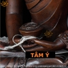 |Cao 22.5cm| 3 Bức Tượng Phật Tam Thế Phật: Dược Sư - Thích Ca - A Di Đà Bằng Đồng Nguyên Chất TP33 chất lượng tốt nhất