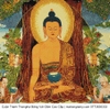 Cuộn Tranh ThangKa Phật Thích Ca Mâu Ni Bằng Vải Gấm Cao Cấp, mạnh khỏe phúc lộc trường thọ hạnh phúc