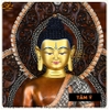 |Cao 50cm| 8 Bức Tượng Phật Dược Sư Bằng Đồng Nguyên Chất Mạ Vàng TP28 chất lượng nhất