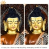 |Cao 50cm| 8 Bức Tượng Phật Dược Sư Bằng Đồng Nguyên Chất Mạ Vàng TP28 chất lượng cao